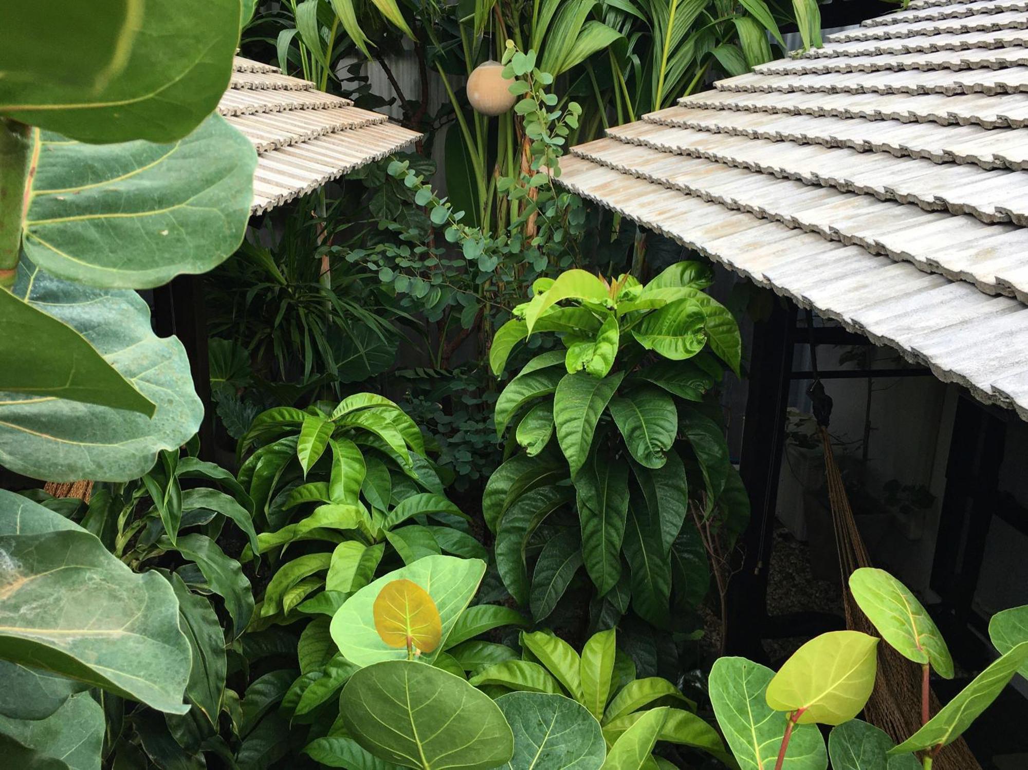 Su Kho Rom Always Home ศุโขรมย์ - Adults Only Chiang Mai Luaran gambar