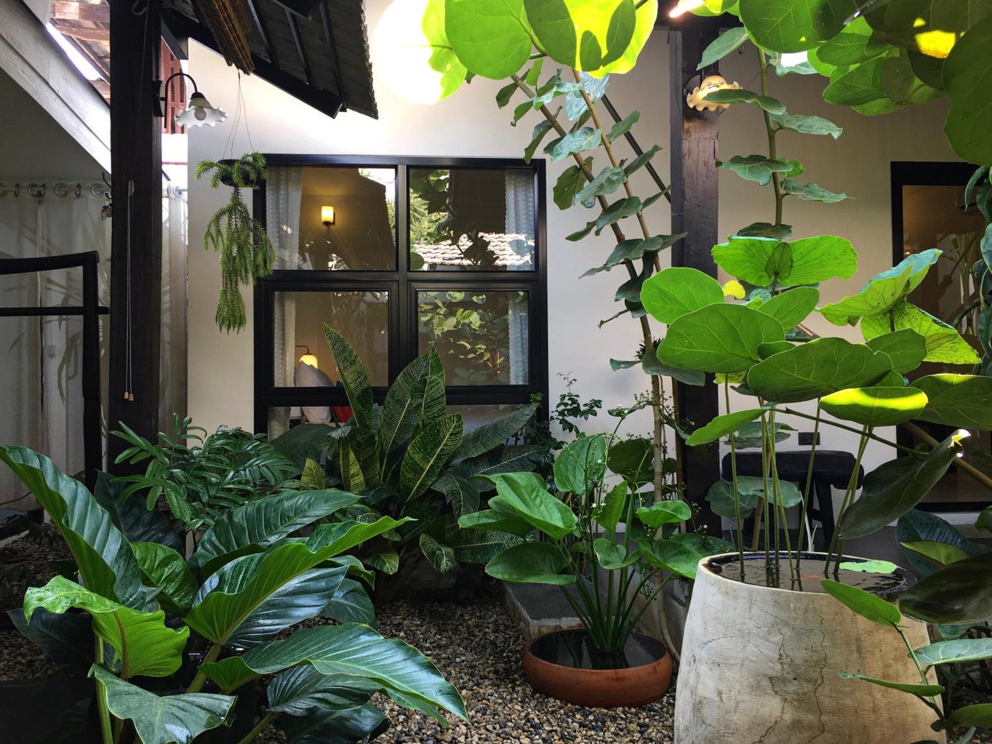Su Kho Rom Always Home ศุโขรมย์ - Adults Only Chiang Mai Luaran gambar